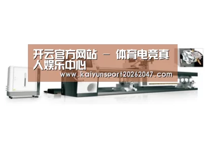 视频展示一