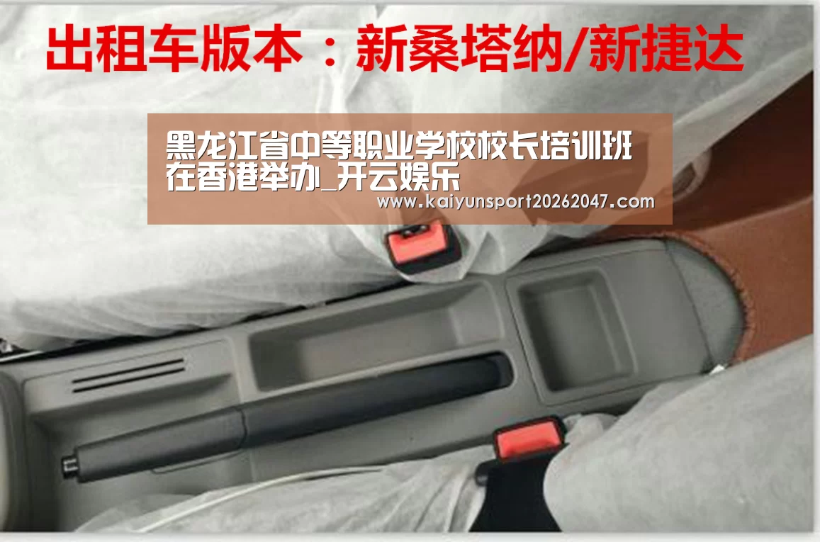 开云真人